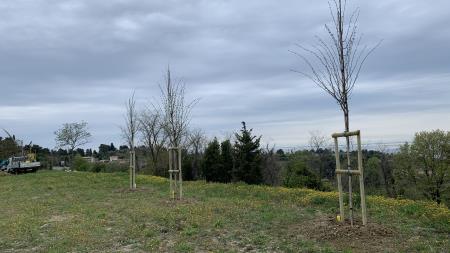 Foto Javno podjetje Okolje Piran (6)